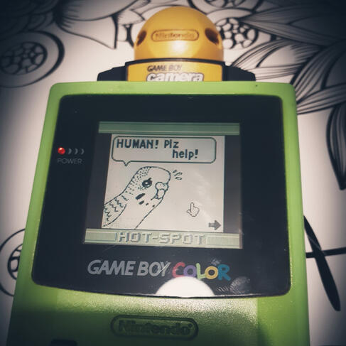 Funny stuff on GameBoy Camera