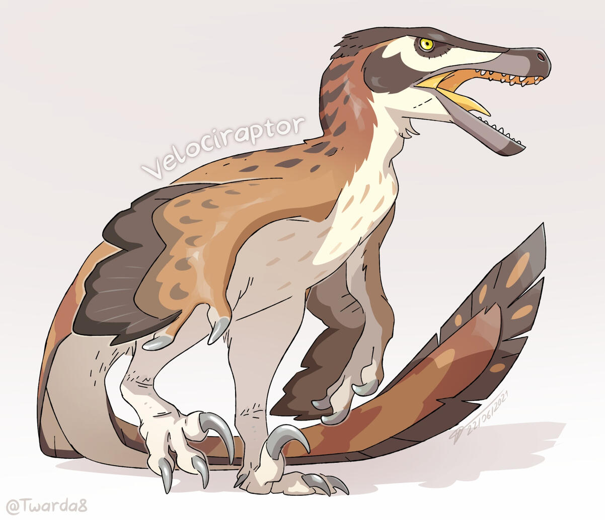 Velociraptor